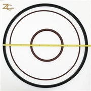 FKM скелет масло печат Tc масло печат Sb салник